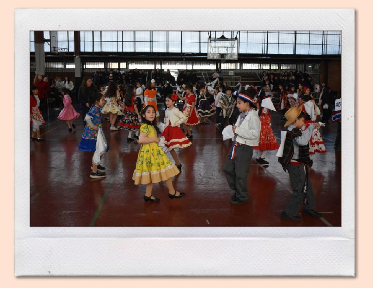 img_gale_6a9f0b7c8faec_07092026.jpg