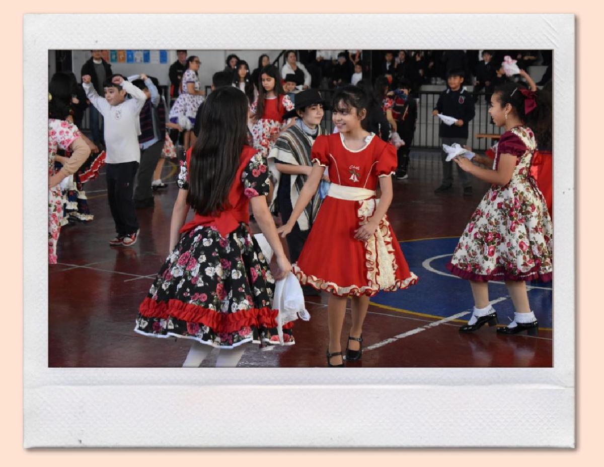 img_gale_6a9f0b7c95cdc_07092026.jpg