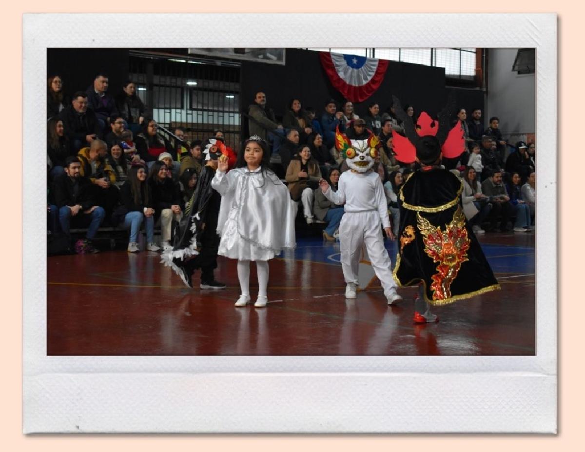 img_gale_6ab6af7c03d4d_25092026.jpg