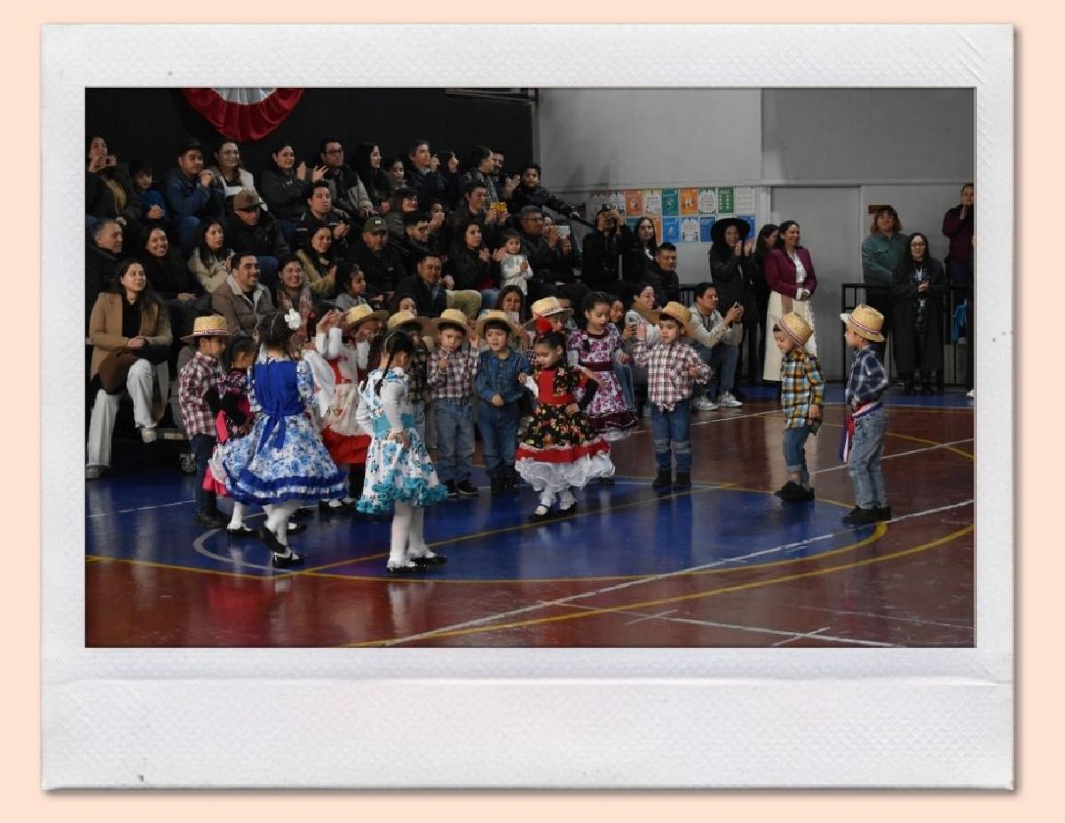 img_gale_6ab6af7c1082a_25092026.jpg