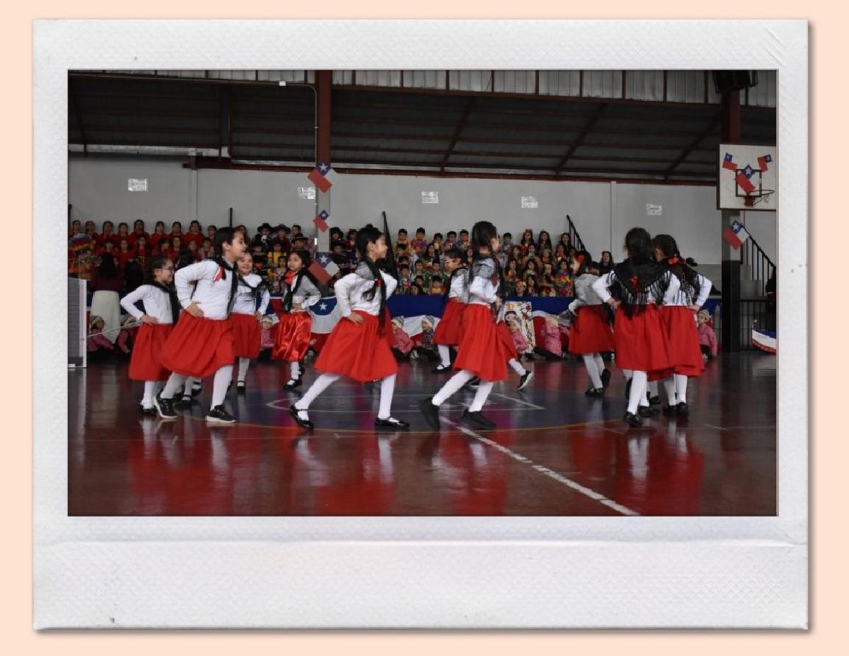 img_gale_6ab6af7c24b9b_25092026.jpg