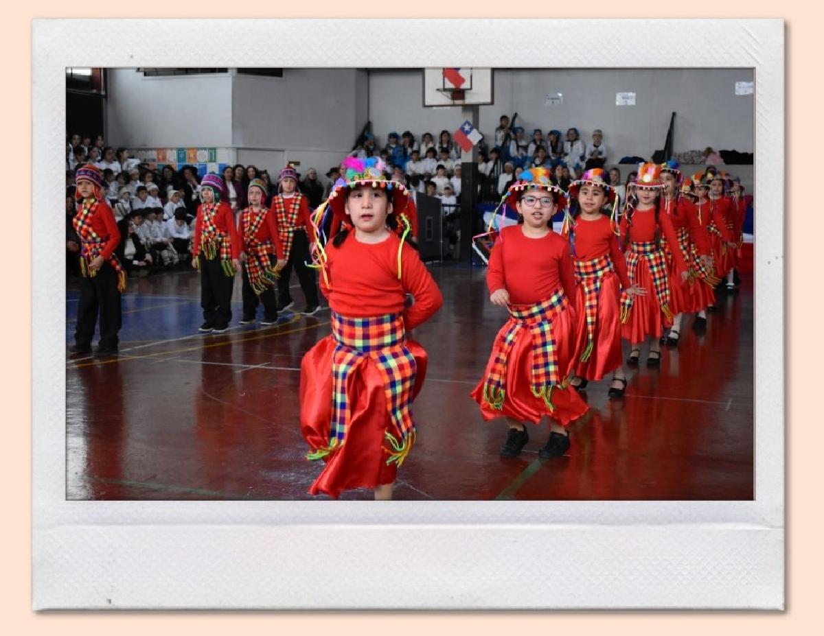 img_gale_6ab6aff69393e_25092026.jpg