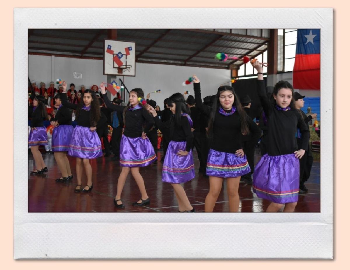 img_gale_6ab6aff699dce_25092026.jpg