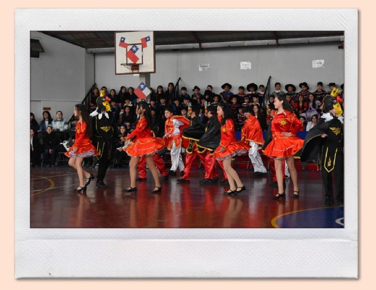 img_gale_6ab6aff69ce32_25092026.jpg