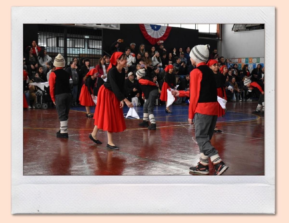 img_gale_6ab6aff6b5dc9_25092026.jpg