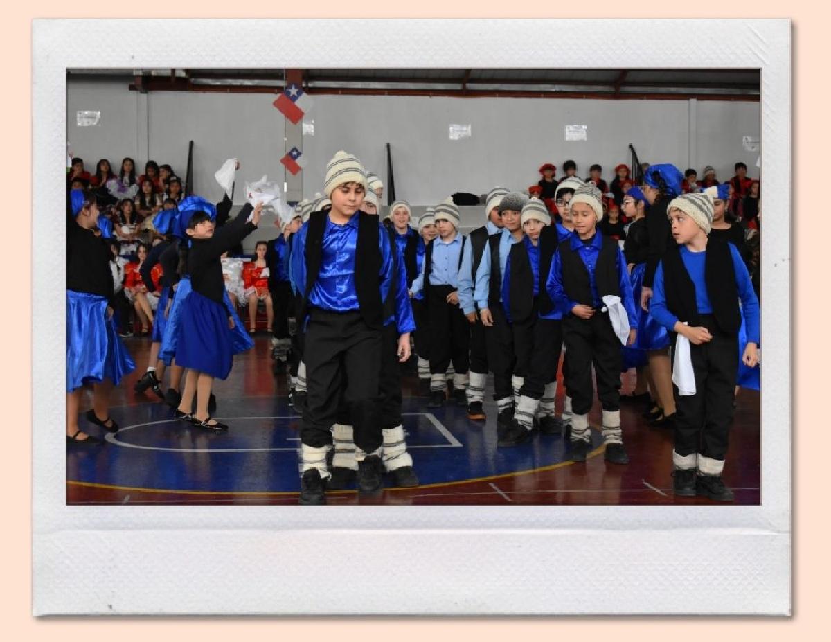 img_gale_6ab6aff6b8c67_25092026.jpg