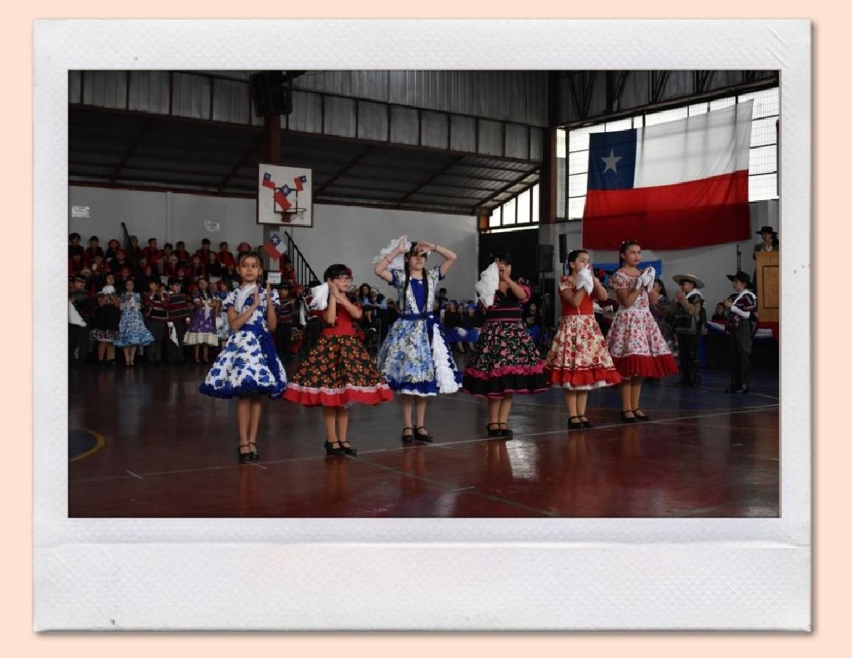 img_gale_6ab6aff6bebea_25092026.jpg