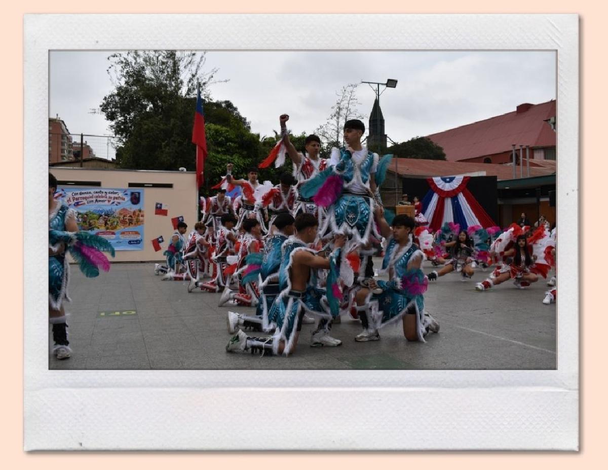 img_gale_6ab6b01938703_25092026.jpg