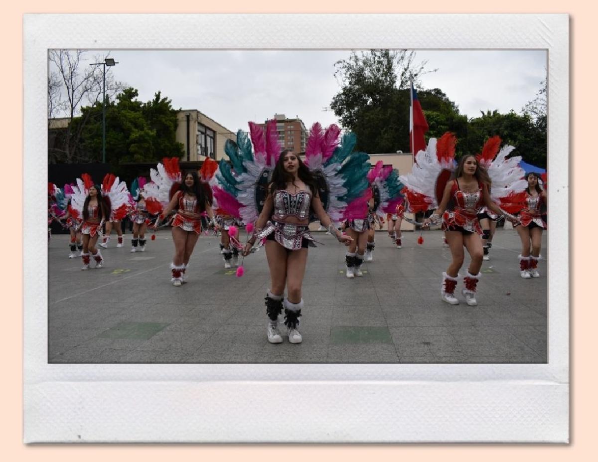 img_gale_6ab6b0193ce3c_25092026.jpg