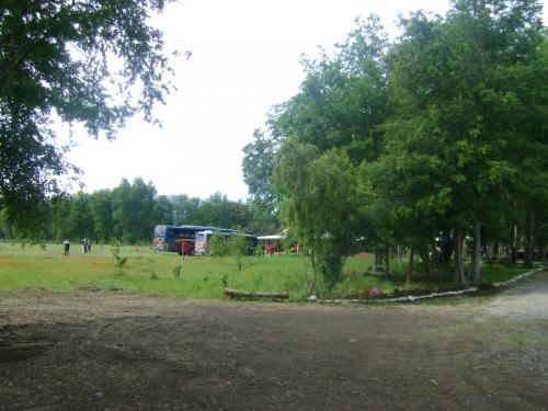 Gale50a38e05735f7_14112012_526am.JPG